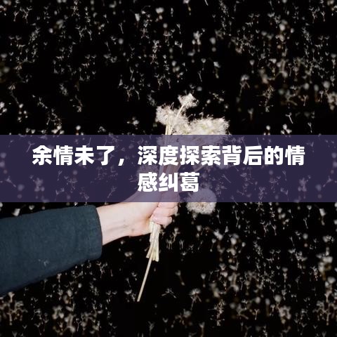 余情未了，深度探索背后的情感糾葛