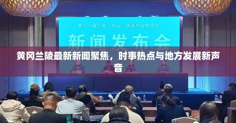 黃岡蘭陵最新新聞聚焦，時(shí)事熱點(diǎn)與地方發(fā)展新聲音