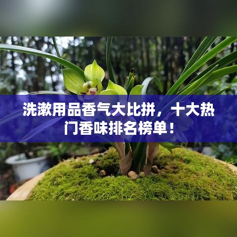 洗漱用品香氣大比拼，十大熱門(mén)香味排名榜單！