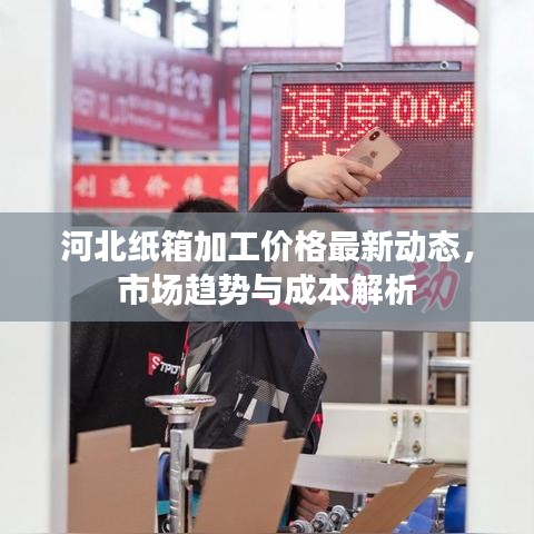 河北紙箱加工價(jià)格最新動(dòng)態(tài)，市場趨勢與成本解析