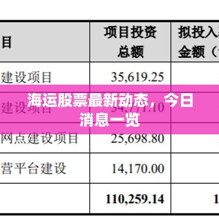 海運股票最新動態(tài)，今日消息一覽