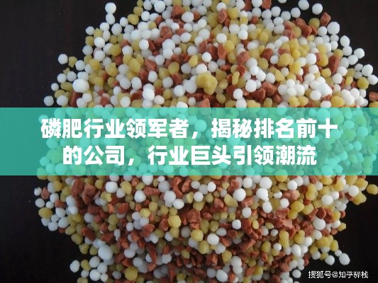 磷肥行業(yè)領軍者，揭秘排名前十的公司，行業(yè)巨頭引領潮流