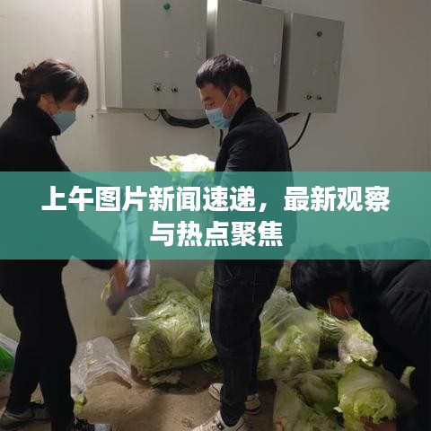 上午圖片新聞速遞，最新觀察與熱點(diǎn)聚焦