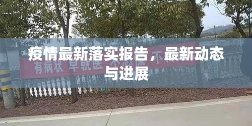 疫情最新落實報告，最新動態(tài)與進展