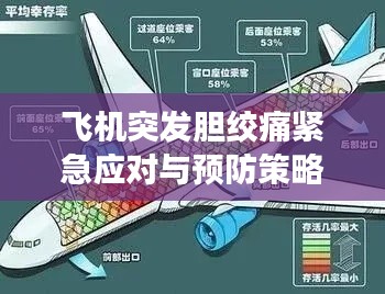 飛機(jī)突發(fā)膽絞痛緊急應(yīng)對(duì)與預(yù)防策略揭秘