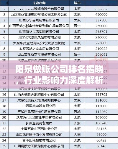 陽泉做賬公司排名揭曉，行業(yè)影響力深度解析