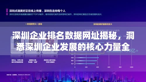 深圳企業(yè)排名數(shù)據(jù)網(wǎng)址揭秘，洞悉深圳企業(yè)發(fā)展的核心力量全攻略