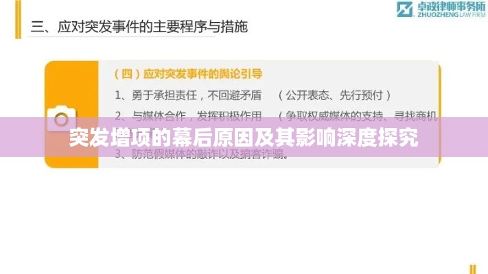 突發(fā)增項的幕后原因及其影響深度探究