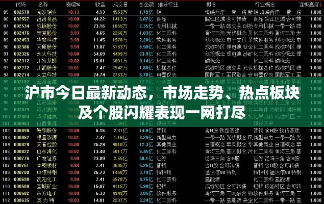 滬市今日最新動態(tài)，市場走勢、熱點板塊及個股閃耀表現(xiàn)一網(wǎng)打盡