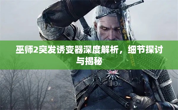 巫師2突發(fā)誘變器深度解析，細(xì)節(jié)探討與揭秘