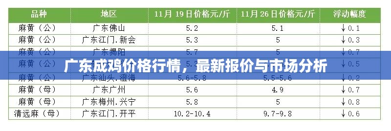 廣東成雞價格行情，最新報價與市場分析
