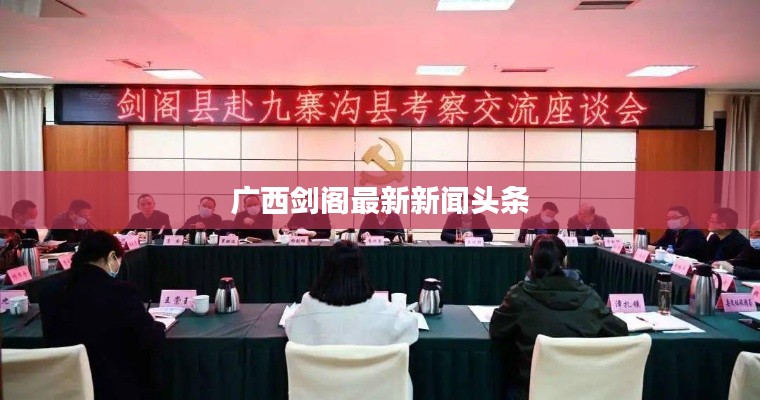 廣西劍閣最新新聞?lì)^條