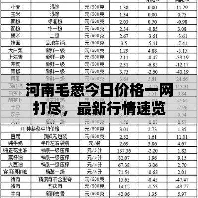 河南毛蔥今日價(jià)格一網(wǎng)打盡，最新行情速覽