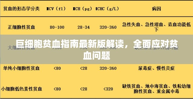 巨細胞貧血指南最新版解讀，全面應(yīng)對貧血問題
