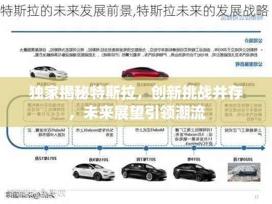 獨(dú)家揭秘特斯拉，創(chuàng)新挑戰(zhàn)并存，未來(lái)展望引領(lǐng)潮流