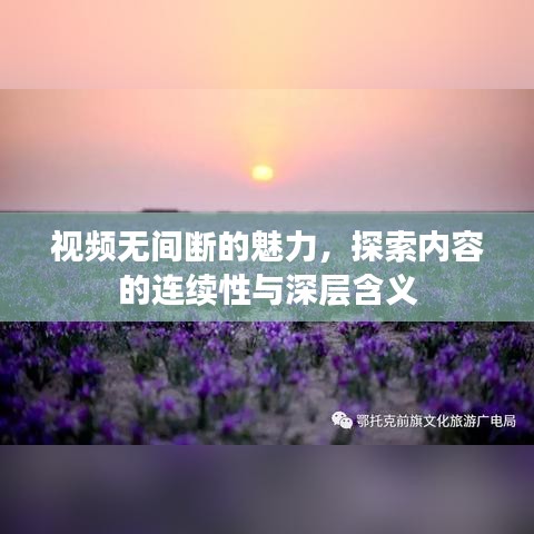 視頻無間斷的魅力，探索內(nèi)容的連續(xù)性與深層含義