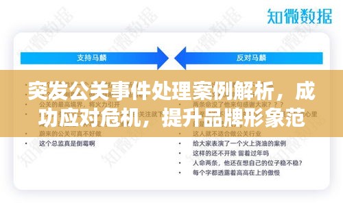 突發(fā)公關(guān)事件處理案例解析，成功應(yīng)對(duì)危機(jī)，提升品牌形象范文展示