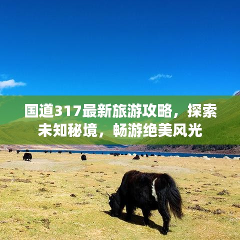 國道317最新旅游攻略，探索未知秘境，暢游絕美風(fēng)光