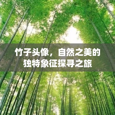 竹子頭像，自然之美的獨特象征探尋之旅
