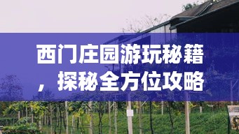 西門莊園游玩秘籍，探秘全方位攻略！