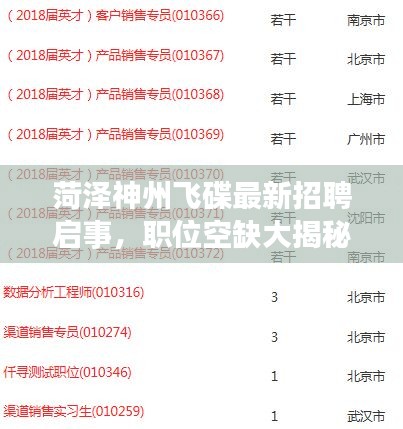菏澤神州飛碟最新招聘啟事，職位空缺大揭秘！
