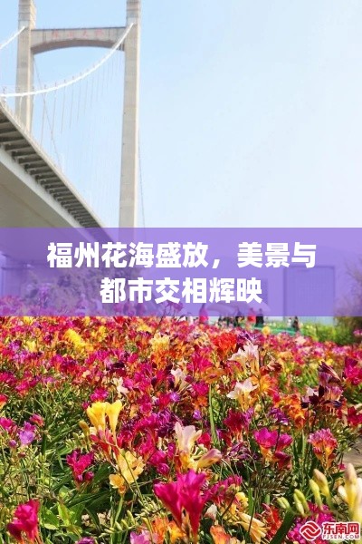 福州花海盛放，美景與都市交相輝映