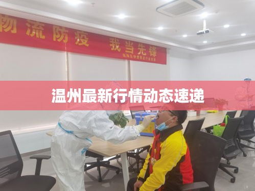 溫州最新行情動態(tài)速遞