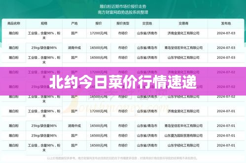 北約今日菜價行情速遞