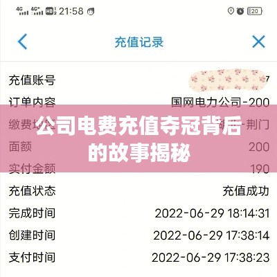 公司電費(fèi)充值奪冠背后的故事揭秘