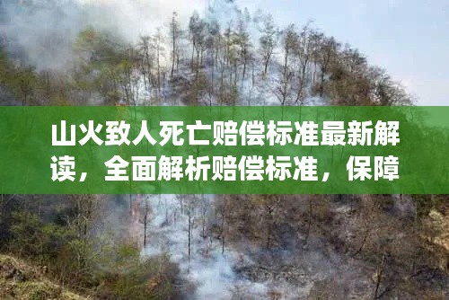 山火致人死亡賠償標(biāo)準(zhǔn)最新解讀，全面解析賠償標(biāo)準(zhǔn)，保障受害者權(quán)益